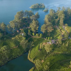 The Farm Dickoya